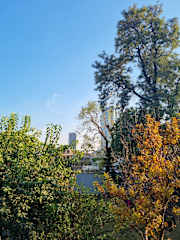 Foto di