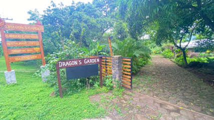 Dragon's Garden의 사진