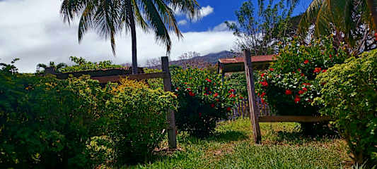 Photos de 