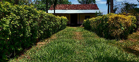 Photos de 