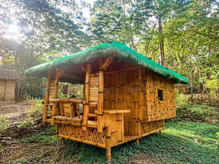 Photos of El Bosque