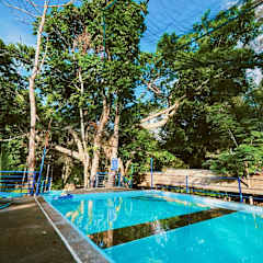 Photos of El Bosque