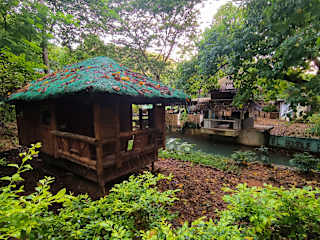 Photos of El Bosque
