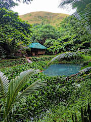 Photos of El Bosque