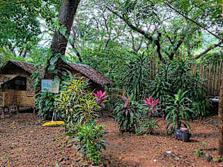 Photos of El Bosque