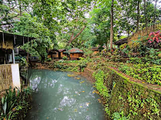 Photos of El Bosque