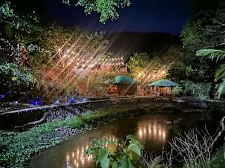 Photos of El Bosque