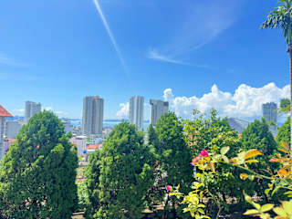 Foto di