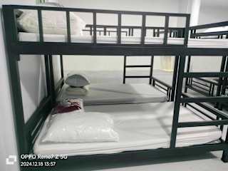 Photos of Khaosok Cafe and Stay