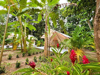 Photos of Glamping Jazayma