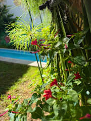 Photos of Guemes Hostel