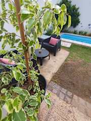Photos of Guemes Hostel
