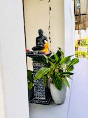 Fotos de