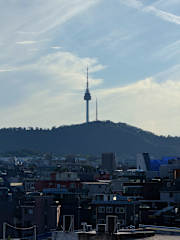 Photos of Roaming Tiger Seoul