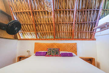 Fotografias de
