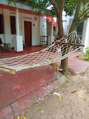 Cafe Nilaveli Holiday Home의 사진
