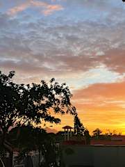 Foto di