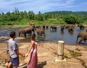 Photos of Hotel Elephant Park