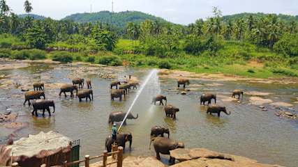 Photos of Hotel Elephant Park