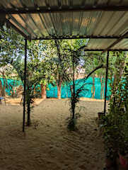 Fotos de Hostel Pushkar Flower