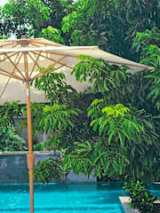 Photos of Angkor Rise Hostel