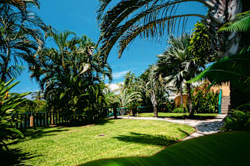 Bungalows Oasis의 사진