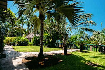 Bungalows Oasis의 사진
