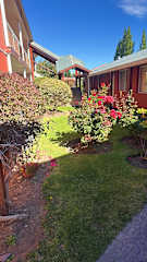 Photos of Hosteria Patagonia