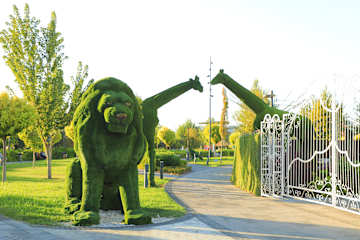 Fotos de Doo Hostel Tashkent City
