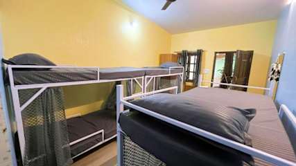 Photos of Mogambo Hostel and Stays