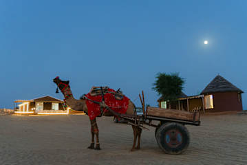Fotos de Golden Sands Desert Camp and Resort, Bikaner