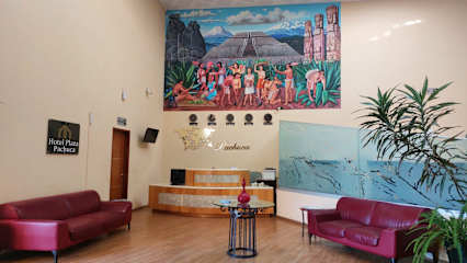 Fotky