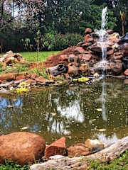 Fotos de Gecko Backpacker Hideout