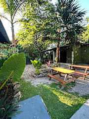Bilder av