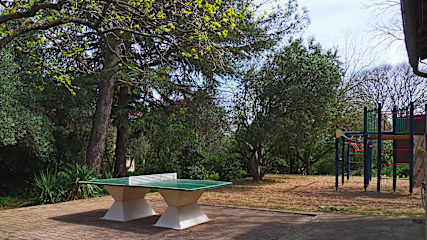 Bilder av 