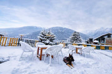 Photos of Chilux Manali