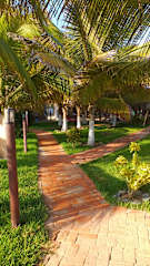 Photos of Punta Pacifico Bungalows Máncora