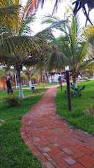 Photos of Punta Pacifico Bungalows Máncora