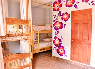 Photos of The Salty Dogs Hostel - El Tunco