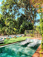Leafy Riverbank의 사진