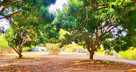 Fotos de 