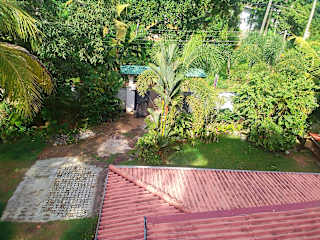 Foto di
