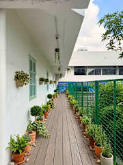 Fotos de Monday Capsule Resort