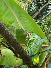 Fotos von