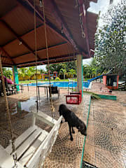 Fotos von
