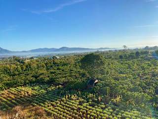 Photos of Pleiku Adventures Homestay