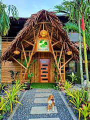 Photos of Nativo D Kubo Hostel - Mixed Dorm