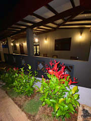 Bilder av