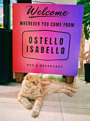 Photos of Ostello Isabello Hotels