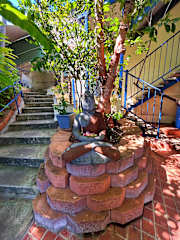 Zen Hostel Townsville의 사진